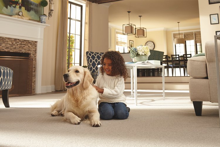 Person with dog sitting on a carpeted floor in a living room.